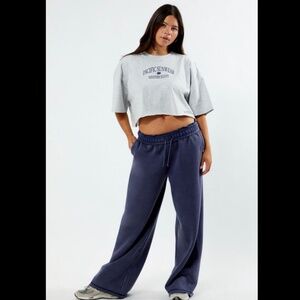 Pacsun Navy blue wide leg sweatpants